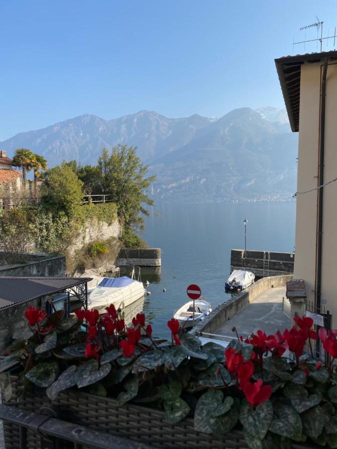 Al Molo 5 - Margaritaville Oliveto Lario Exterior foto
